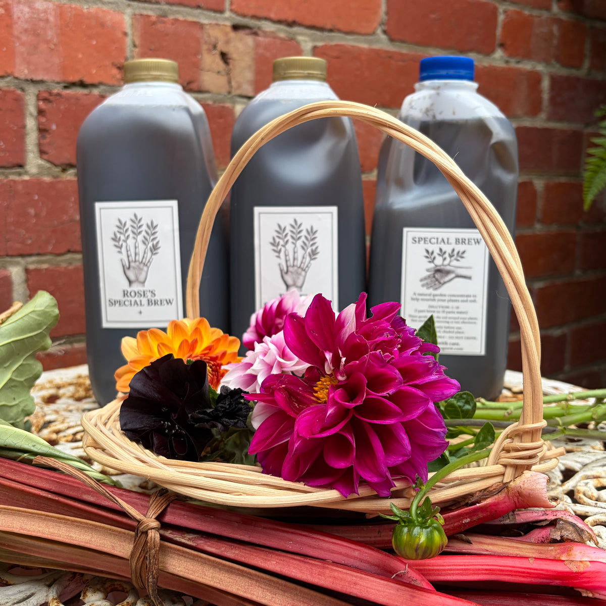 Special Brew - Garden Tonic