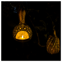 Decorative lantern with a lit candle inside, surrounded by dark foliage.