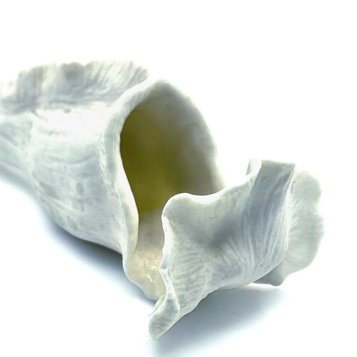 Porcelain Vase 4